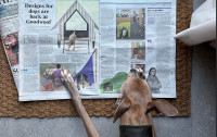 Archi Barkitecture The Times