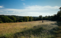 Hampshire countryside uk