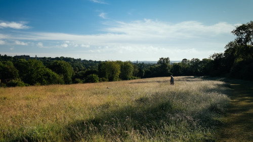 Hampshire countryside uk