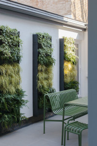 Courtyard greenwall London