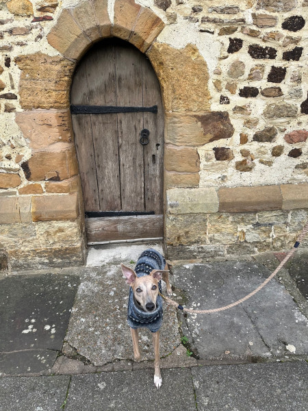 Billinghurst dog walk