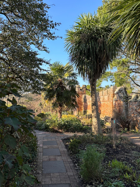 Chichester gardens
