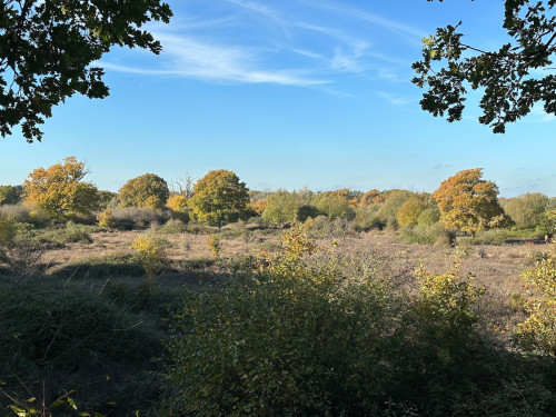 Billinghurst East Sussex countryside