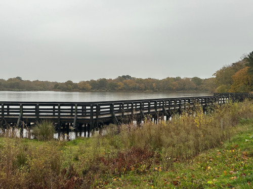 Petersfield lake